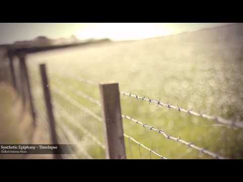 Synthetic Epiphany - Timelapse