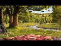 Lazy Summer Afternoon Ambience 8 Hrs Gentle River And Bird Sounds For Relaxation