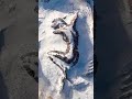 Sleeping Beauty Mountain ️ ️