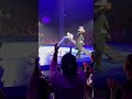 Big Apple Circus Hometown Playground Poodles Going Up And Down A Slide Shorts