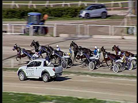 Trotto 13/10/2019 - 2ª corsa