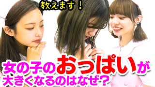 女の子の『お◯ぱい』について