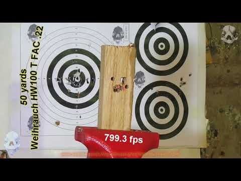 Weihrauch HW100 T FAC .22 Wood Block 50 yards - Madeira na Morsa Vermelha