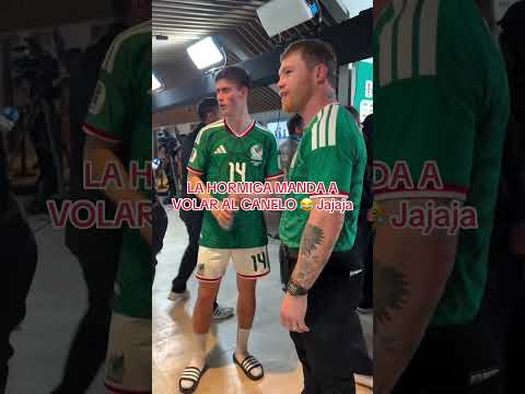 LA HORMIGA MANDO A VOLAR AL CANELO ALVAREZ 🤯🇲🇽😂 | MÉXICO 2-0 SUDAFRICA | #futbol #ligamx #mex