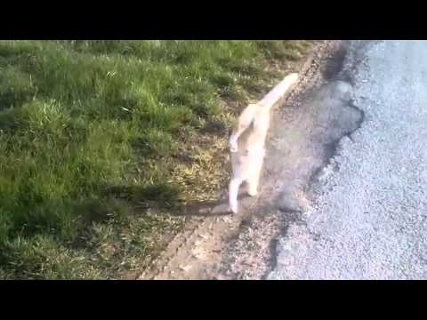 Tylko trochę treningu i oto wynik