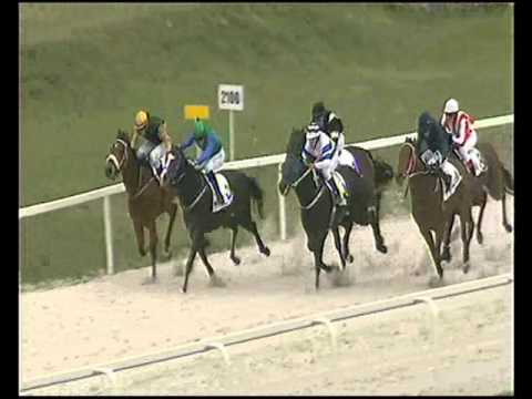 Háromévesek Versenye 1600m