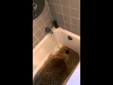 Lynnfield Water Disgusting