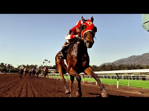 The True Story of Seabiscuit: How a Small, Broken Horse Became America’s Greatest Hope