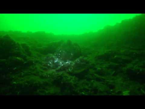 Die Schlucht an der Sorpe, Sorpesee,Nordrhein-Westfalen,Deutschland