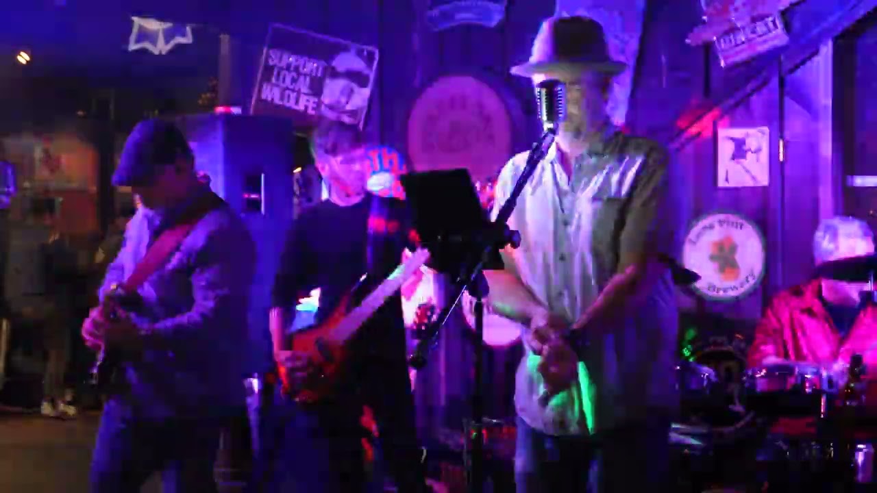 Promotional video thumbnail 3 for Nobody's Dingo - Party cover band