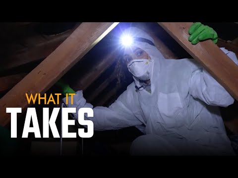 Wild Attic Racoons! - What it Takes to be a Wildlife Control Technician