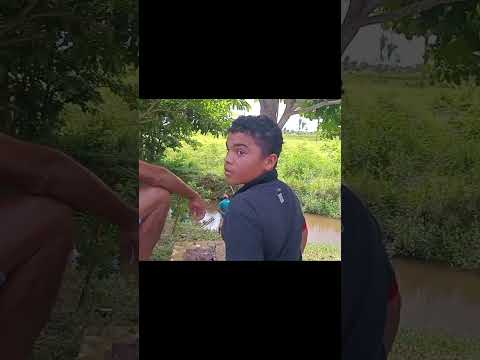 Torneio de Pesca ao Mandí Pres.Médici-Ma.