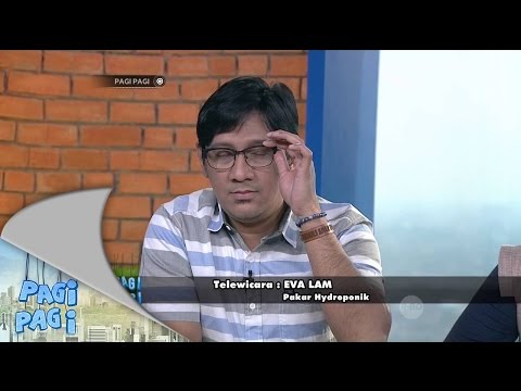 Pagi Pagi 2 September 2015 Part 2/5 - Memes Ngebahas Berkebun