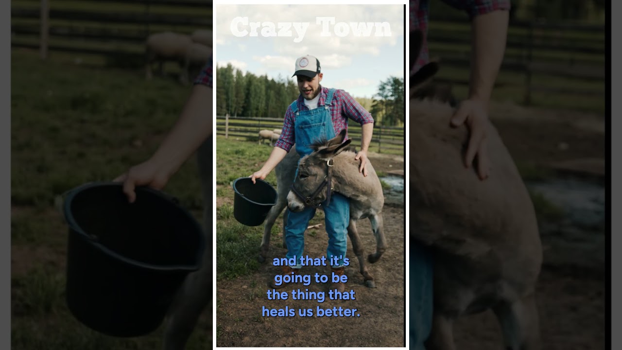 Find Your Next Relationship Here: Crazy Town Clip