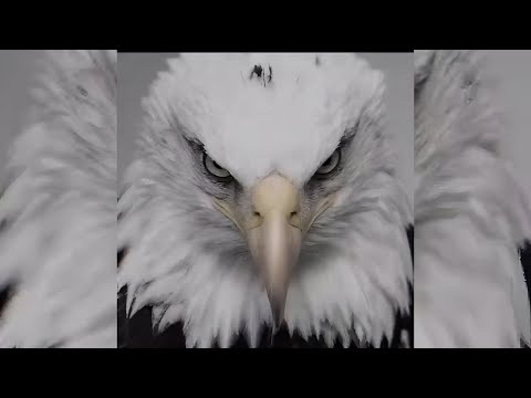 MOGGED! - Miguel Angeles - FORGOTTEN CHILD (Best part looped & slowed)  | Beat Eter