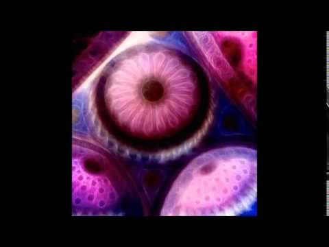 Ayahuasca Icaro -  "In A Clear Vision" (Pineal Gland 3rd Eye consciousness)