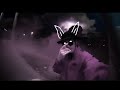 Purppurasusi Joka Päivä On Juhla Susi Anthem