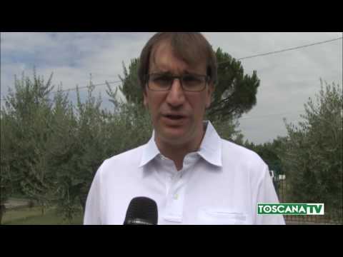 2017-07-28 FIRENZE - TAGO, UN CANE IN RIEDUCAZIONE