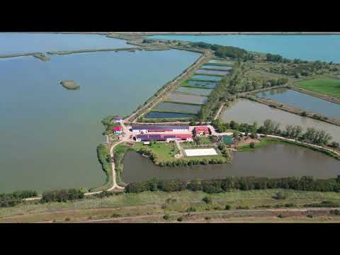 Complexul Delta Moldovei