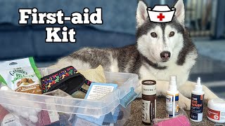 DIY First Aid Kit For Dogs: How To Prepare For Your Pet's Next Emergency