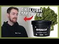 Ex LUSH Employee Honest Review | Herbalism Face Cleanser