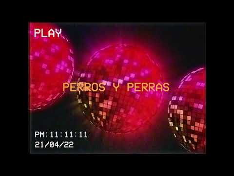 Maky Fresh, Jony Roy - PERROS Y PERRAS (Visualizer)