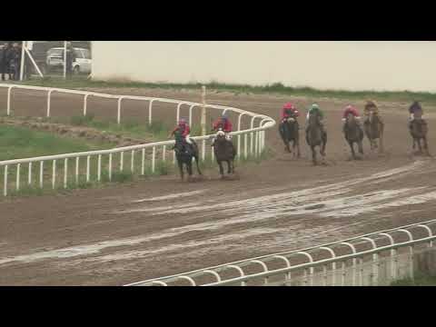 trka Vladislav Ribnikar 2019