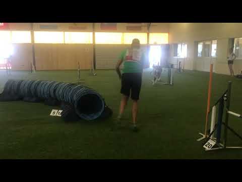 Gasoline for Life of Silent Storm