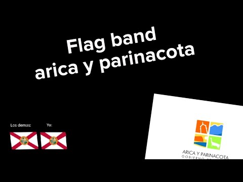 Flag band arica y parinacota flag band