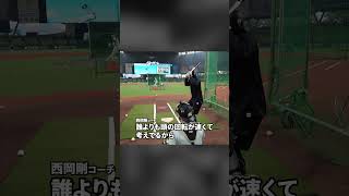 オールスターで小川龍成選手に期待することは？#chibalotte