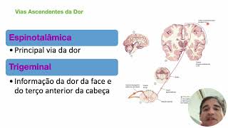 Aula opioides parte 1