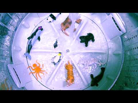 2017KSAF-楊景翔演劇團《前進吧！方舟》