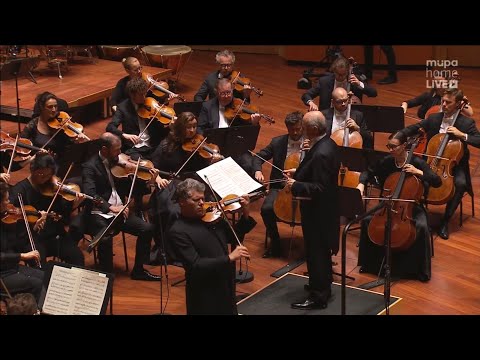 Bartók 1st Violin Concerto - Barnabás Kelemen, Iván Fischer & the Royal Concertgebouw Orchestra