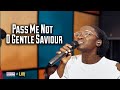 Pass Me Not O Gentle Saviour - Lor