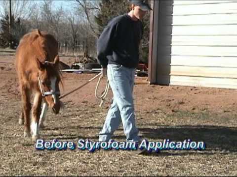 Slide 4 - Styrofoam Pad Set of 4 Medium  (video)