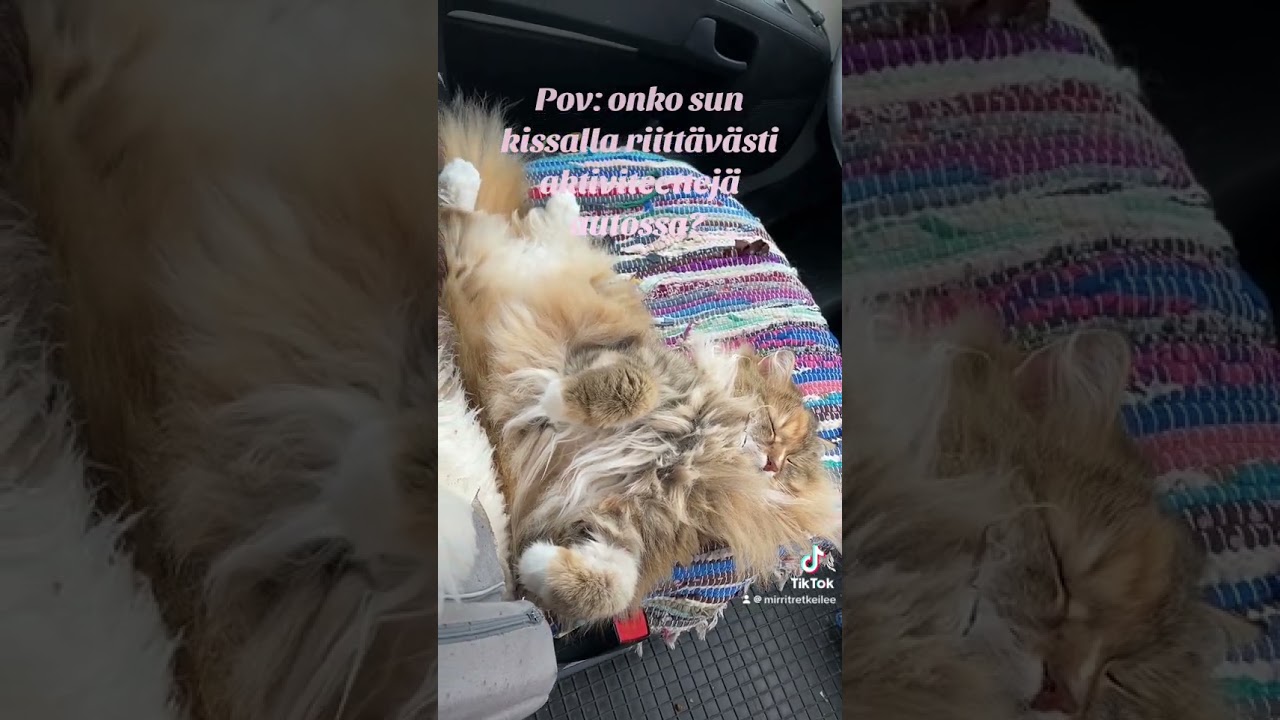 Tässä esimerkki yhdestä Ronjan aktiviteetista 😃