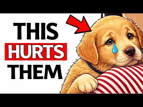 10 EVERYDAY Things That HURT'S Your Dog’s FEELINGS (STOP NOW)