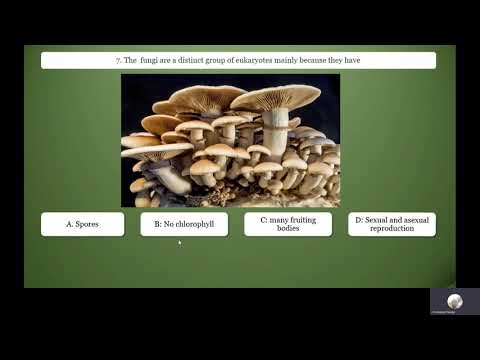 Visual Biology 2012 JAMB EXAMINATION Part 1