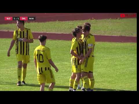 SKRÓT MECZU; SŁOWIK OLKUSZ  vs DALIN MYŚLENICE 3-3