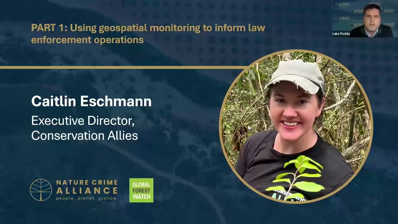 Geospatial monitoring and forest crime: Learnings from law enforcement and community experiences