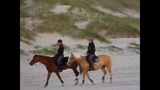 preview picture of video 'North Sea - Denmark, Houstrup Strand 17.06.2011'