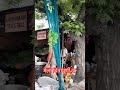 Daily Live Darshan Maa Chintpurni Darbar Jaimatadi Sonuchintpurni Chintapurni