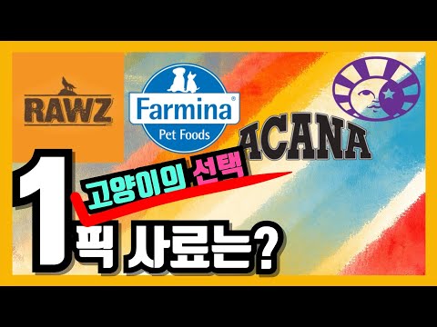 고양이 추천사료 기호성 테스트 로우즈/아카나/파미나/웰니스 Best Cat food? RAWZ/ACANA/Farmina/WELLNESS キャットフード