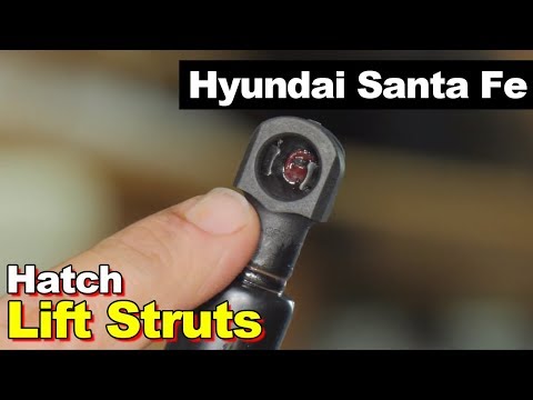 How do I find the hood support strut in Hyundai Xcent?