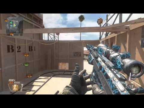 xReaqs - BO2 online floater (leftover)