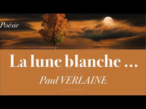 Vido de Paul Verlaine