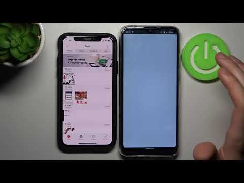 How to Transfer Files in MOTOROLA Moto G8 Power Lite – Move Data