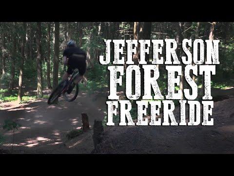 download lagu mp3 mp4 Jefferson Forest, download lagu Jefferson Forest gratis, unduh video klip Jefferson Forest