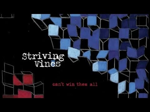 Striving Vines - Somewhere I Used To Fly