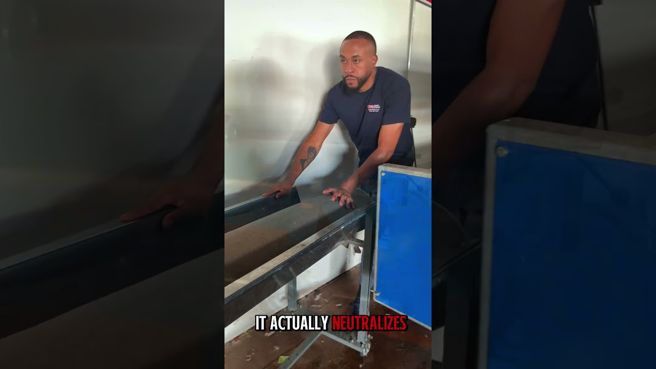 Rug Cleaning FAQ: Pet Treatment  #cleaning#pets #rugcleaning